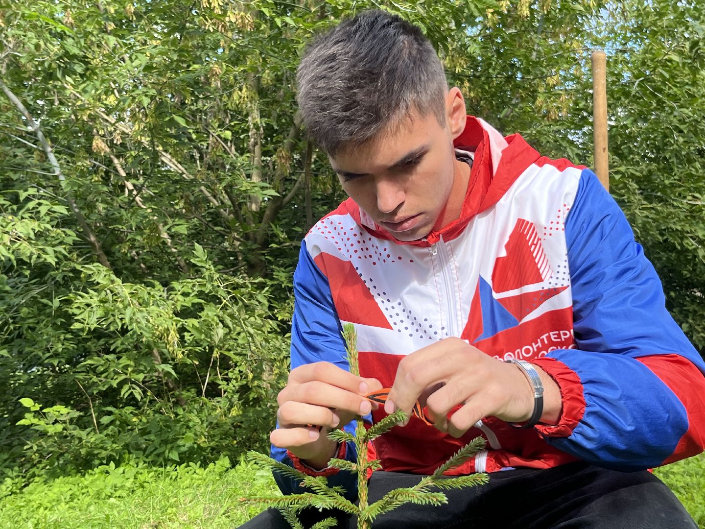 Наро-Фоминск, аллея памяти, рубеж обороны, посади дерево, волонтёры Подмосковья
