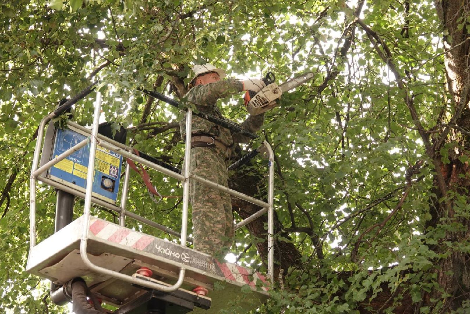 Сергиев Посад, Сергиево-Посадский городской округ, Опиловка, Коммунальщики, Экология, По просьбам жителей