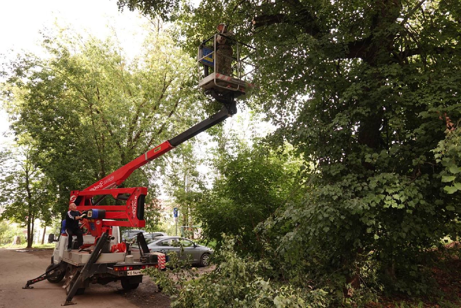Сергиев Посад, Сергиево-Посадский городской округ, Опиловка, Коммунальщики, Экология, По просьбам жителей