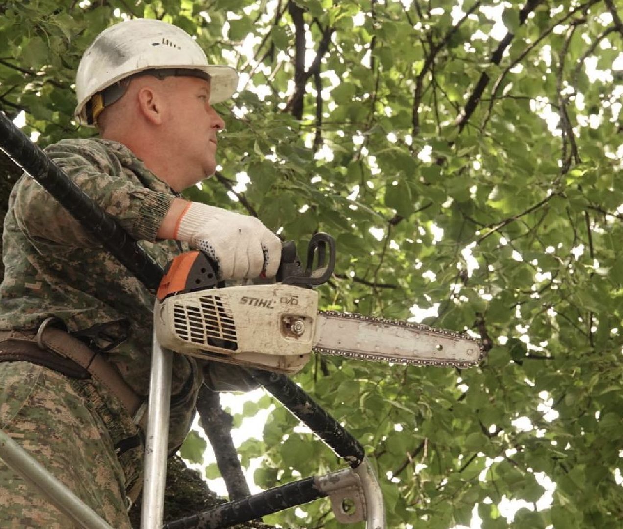 Сергиев Посад, Сергиево-Посадский городской округ, Опиловка, Коммунальщики, Экология, По просьбам жителей