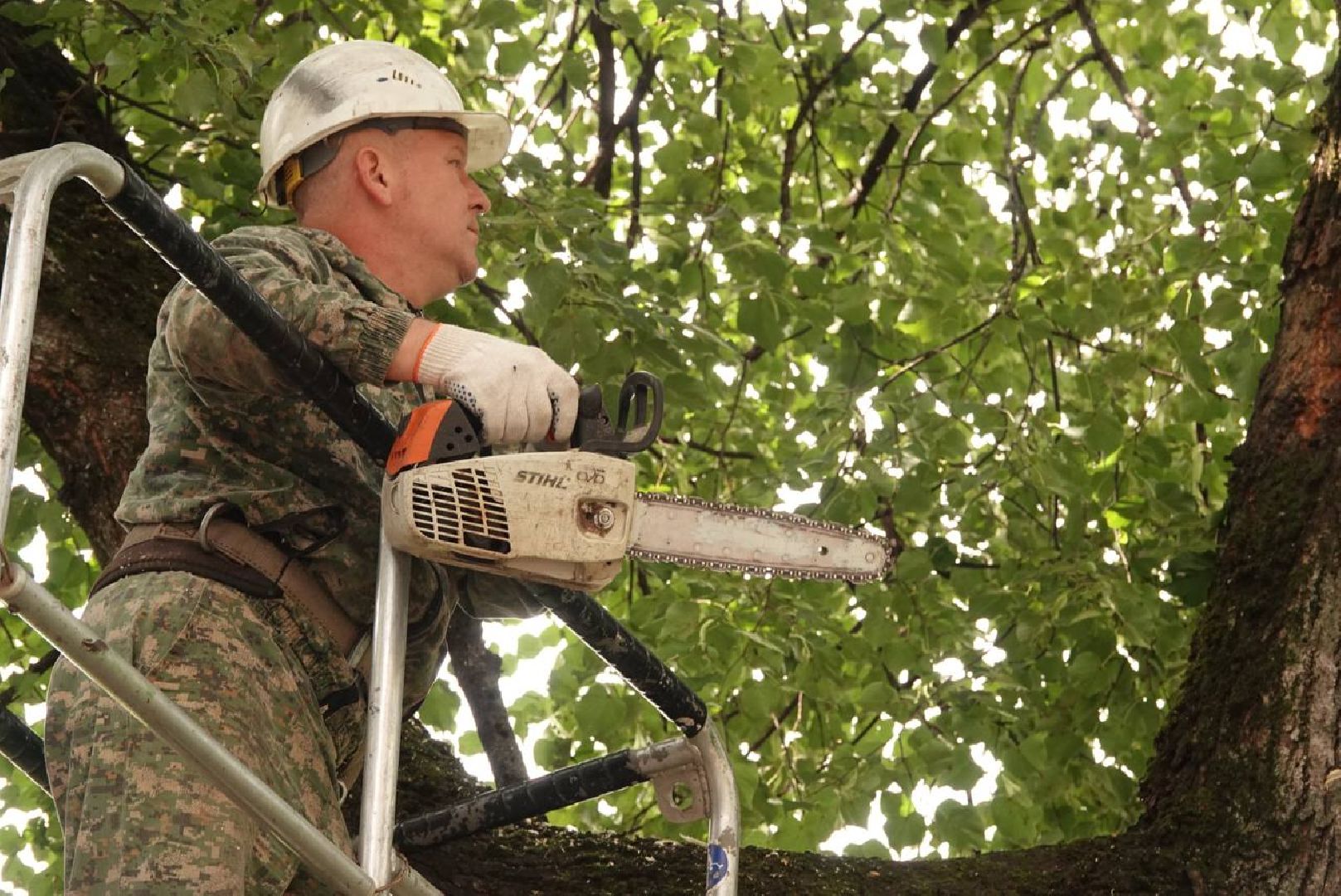 Сергиев Посад, Сергиево-Посадский городской округ, Опиловка, Коммунальщики, Экология, По просьбам жителей