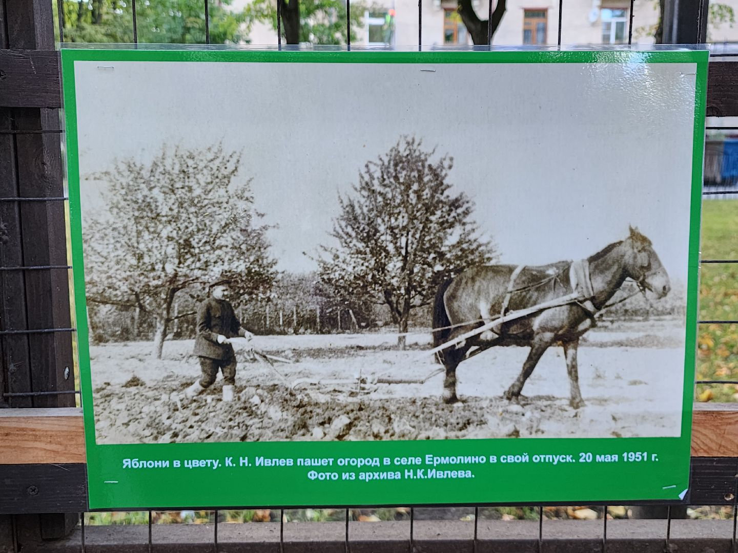 выставка; история; видновский край; фотографии