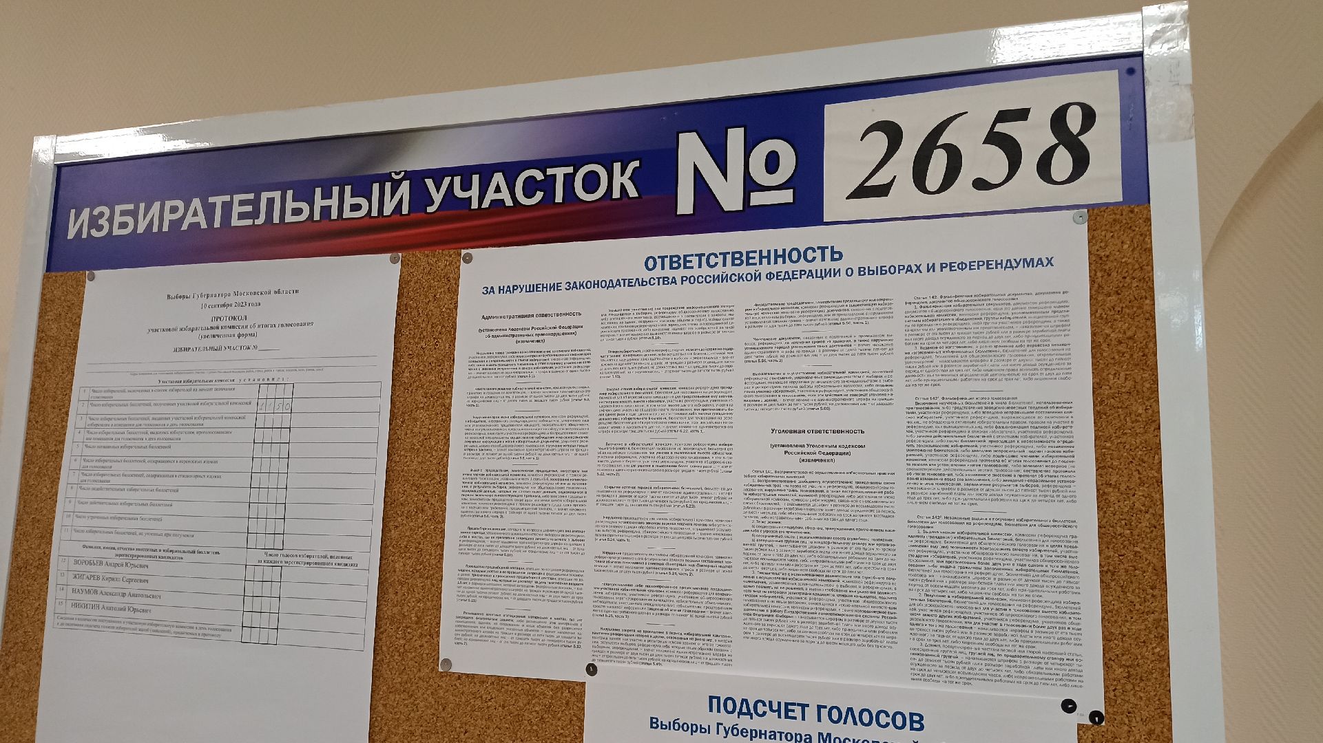 Реутов, выборы, голосование, избирательная кампания