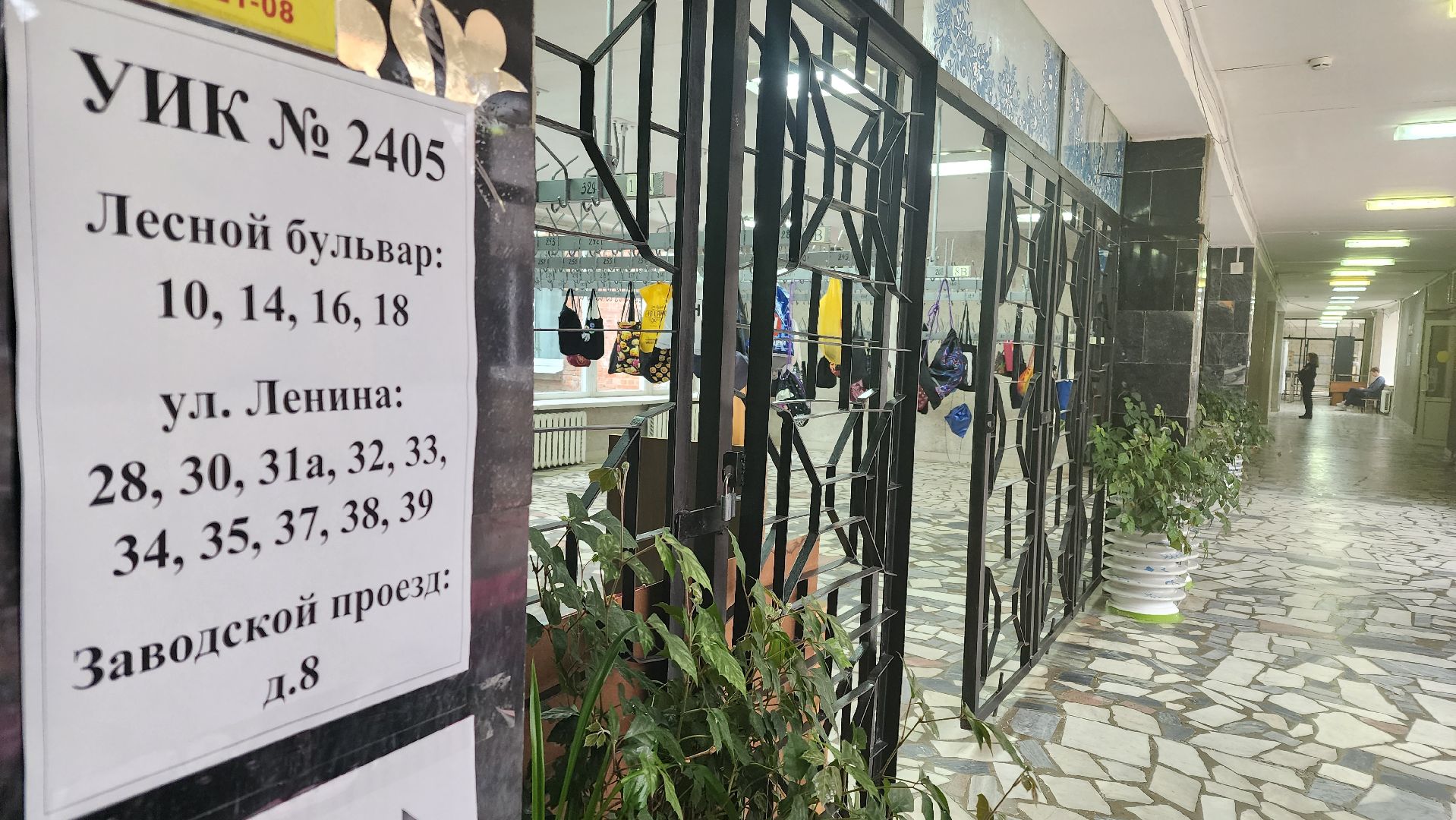 Подмосковье Выбирает 2023, ЕДГ 2023, Протвино, выборы, начало