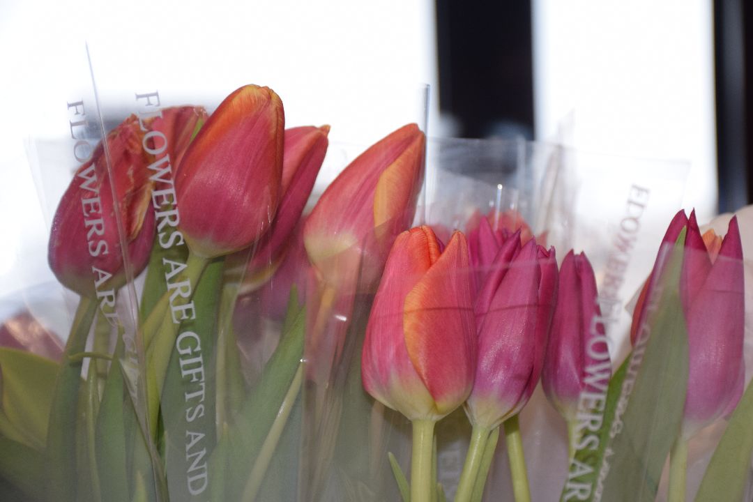 Павловский Посад, волонтеры, Молодая Гвардия, Добро в действии, Великая Отечественная война, Теренино, Павловский Посад, пенсионер