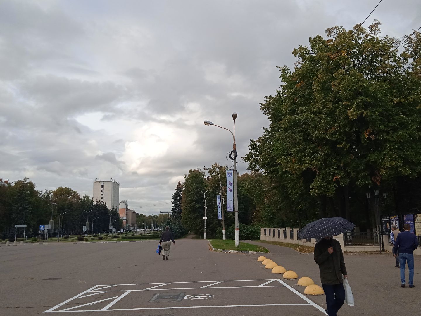 выборы, губернатора, голосование, 2023