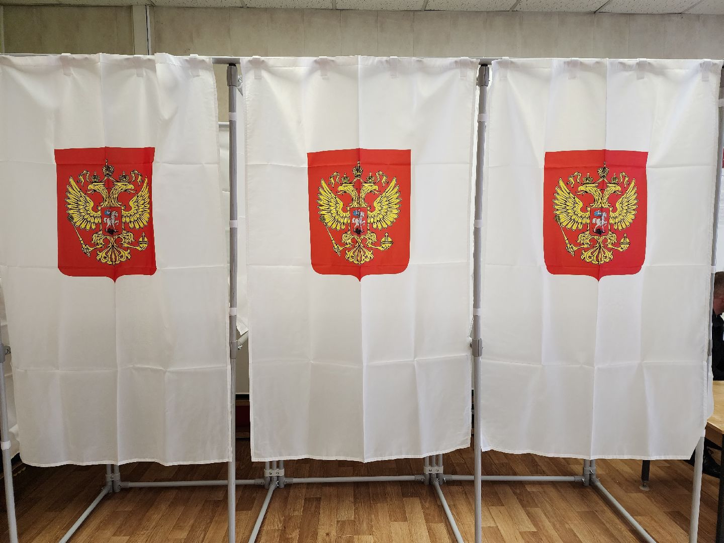 Химки, выборы, голосование, УИК, Подмосковье