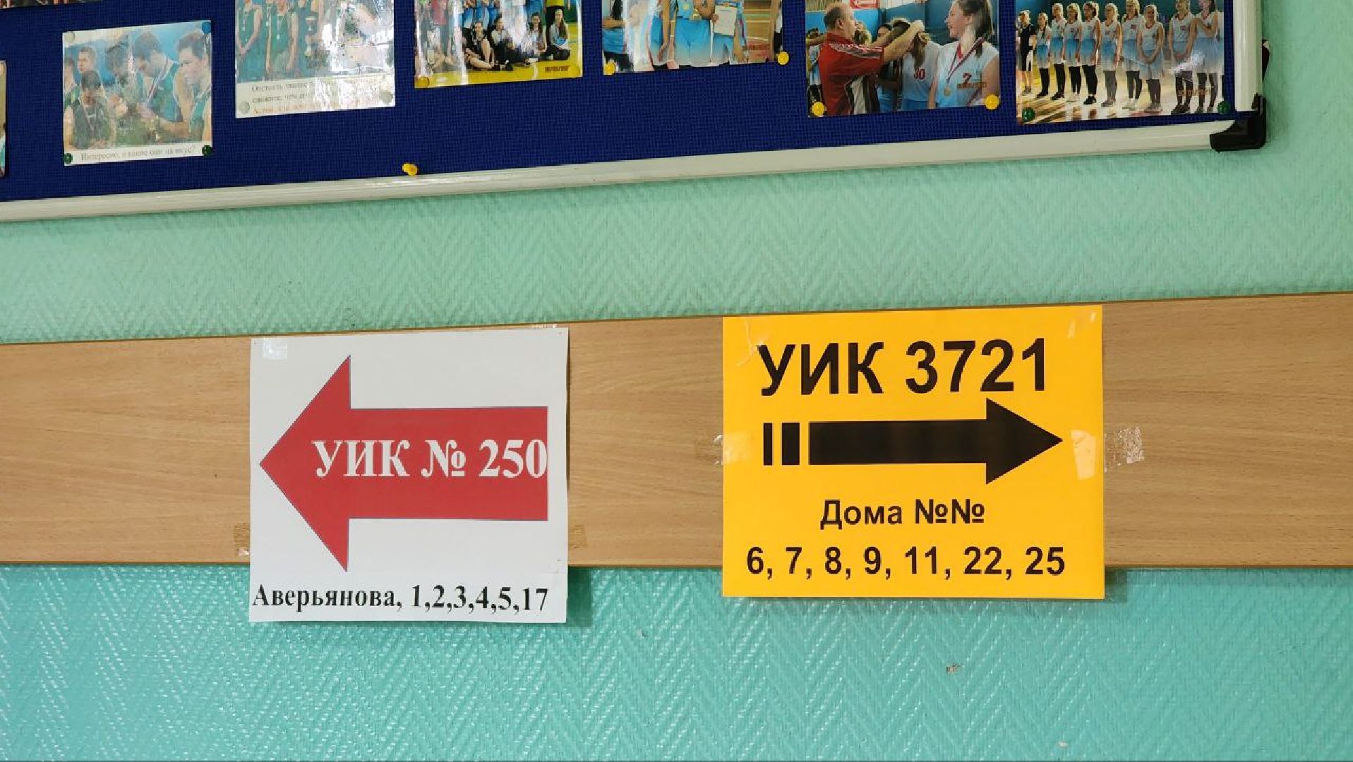 Дмитров, Выборы 2023, Губернатор