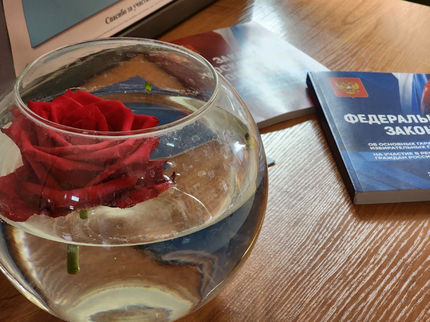 Кашира, ПодмосковьеВыбирает2023, ЕДГ2023