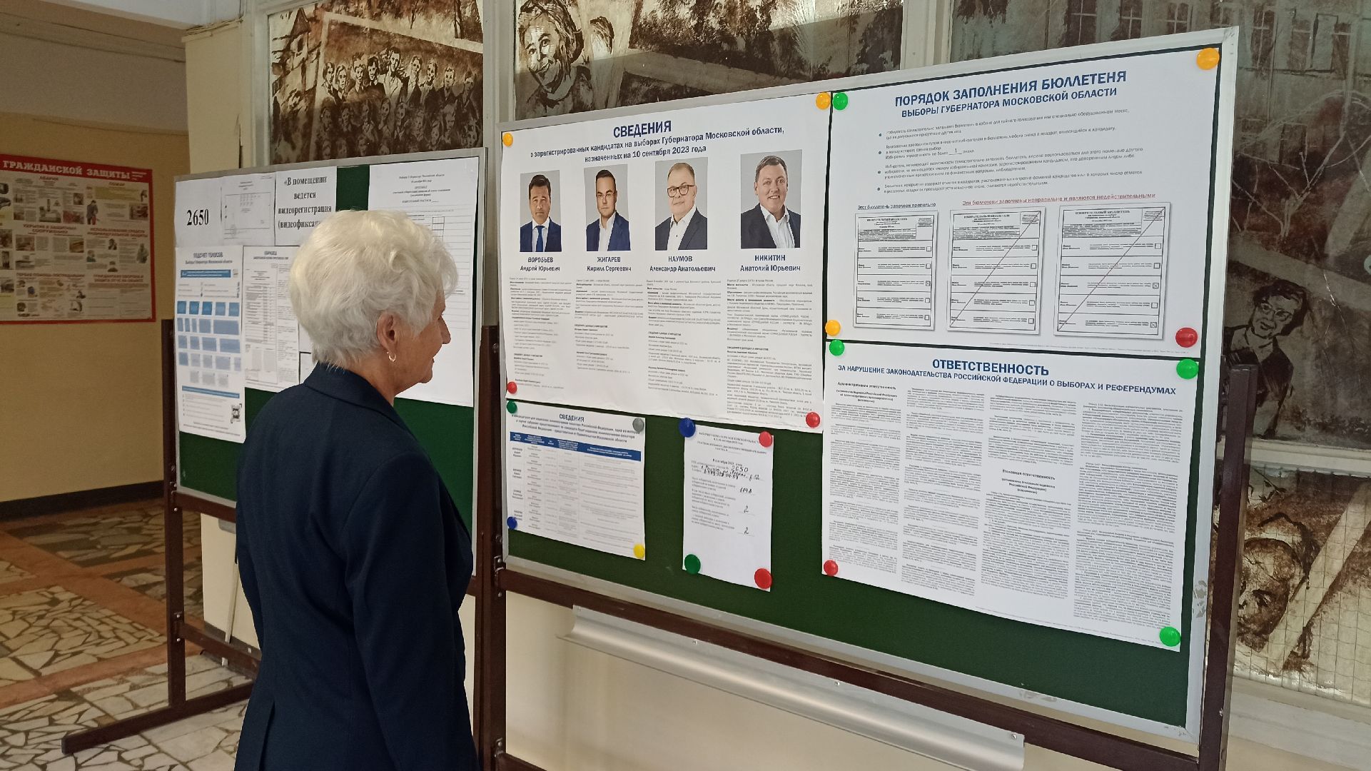 Реутов, выборы, голосование, избирательная кампания