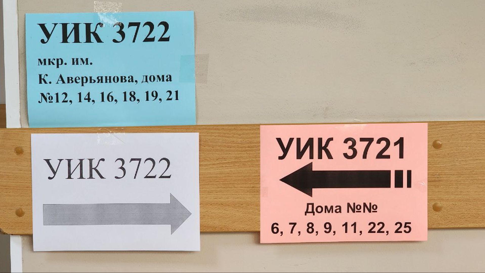 Дмитров, Выборы 2023, Губернатор