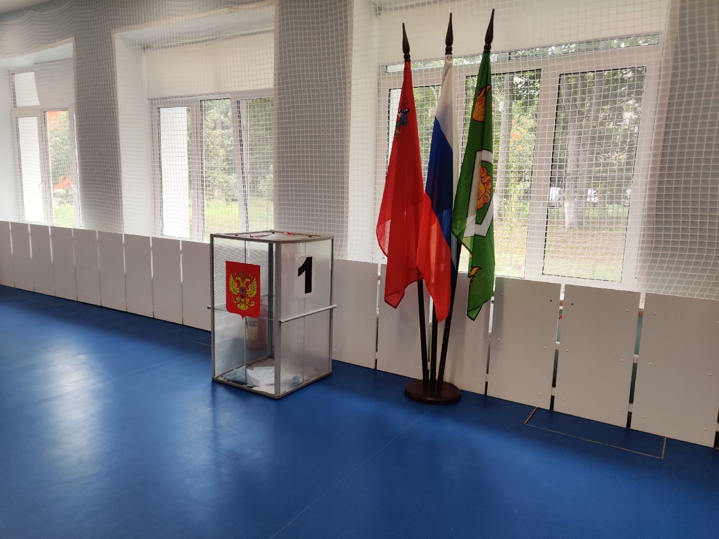 Красноармейск, Пушкинский, ЕДГ, первые голосующие