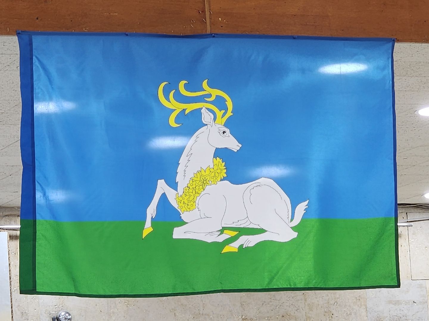 Одинцово, ПодмосковьеВыбирает2023, ЕДГ2023