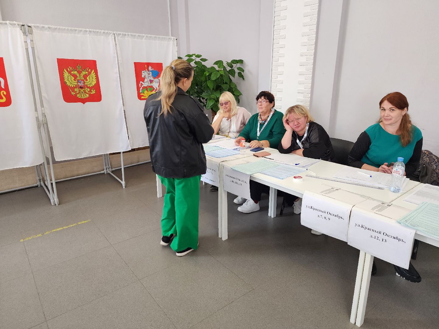 Дедовск, выборы, голосование