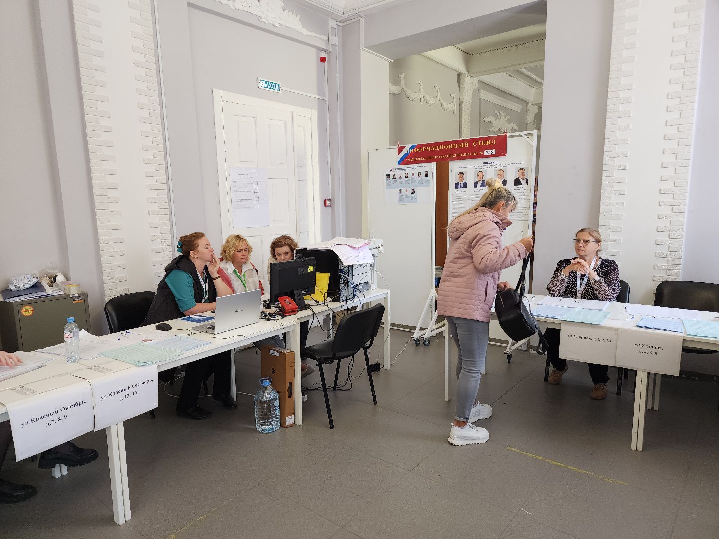 Дедовск, выборы, голосование