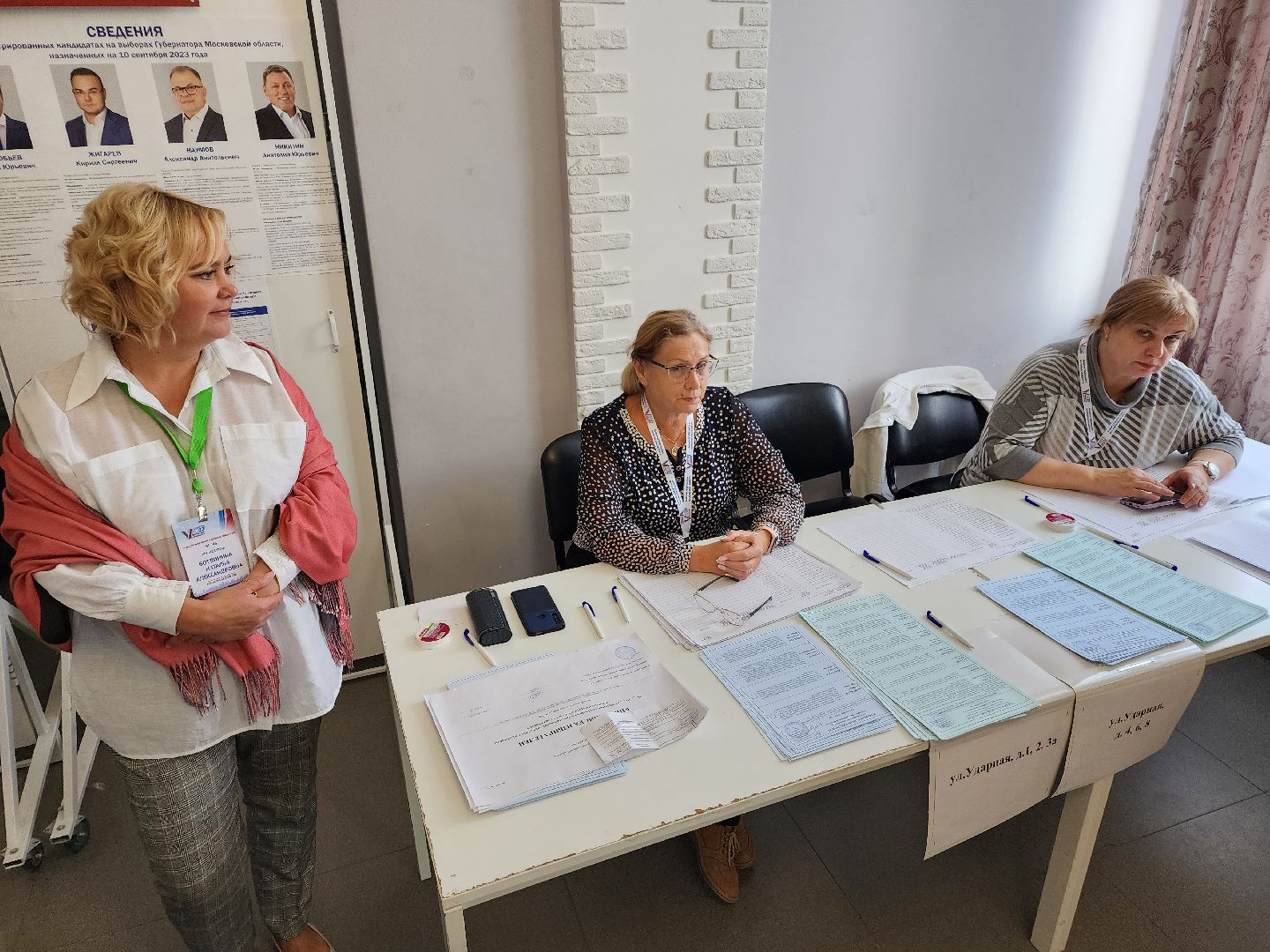 Дедовск, выборы, голосование