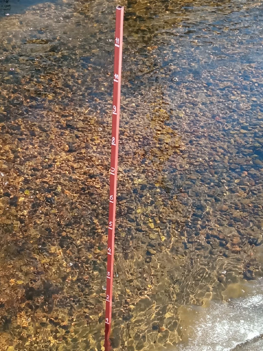 Половодье, вешки, паводок