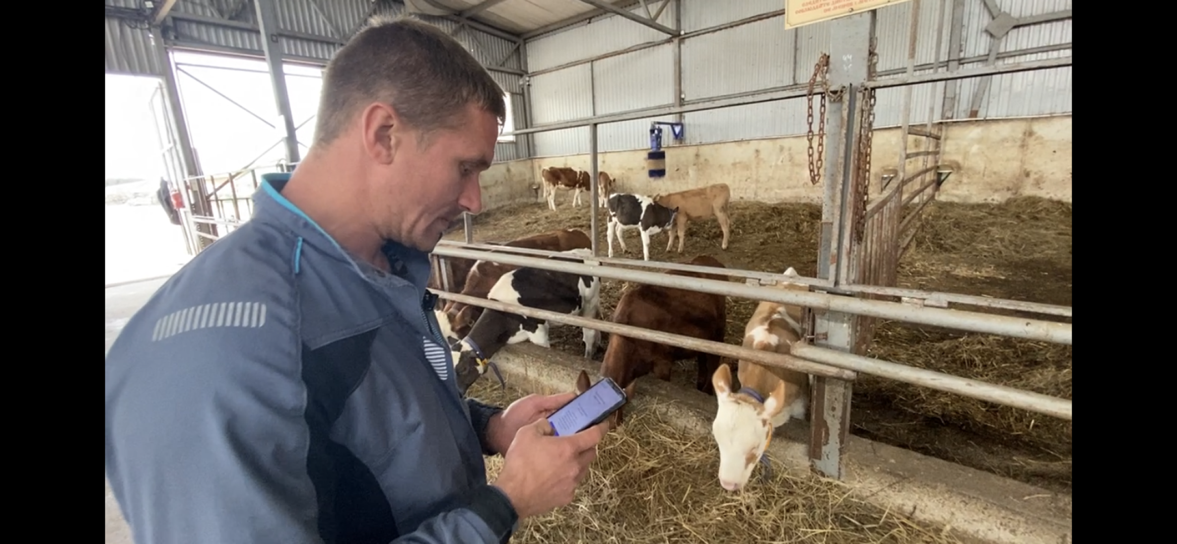 выборы 2023, выборы губернатора, дистанционное голосование,