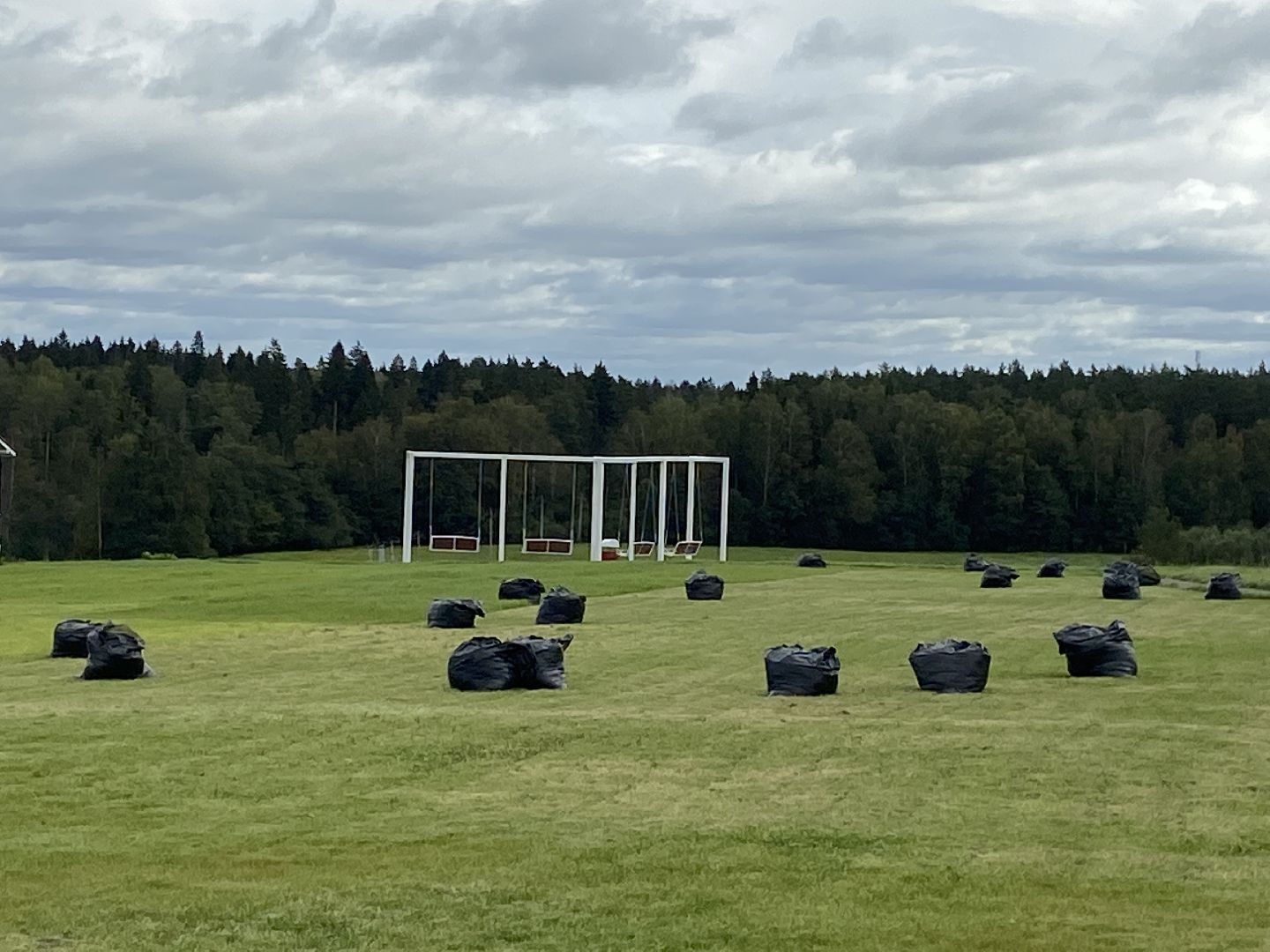 выборы 2023, выборы губернатора, дистанционное голосование,