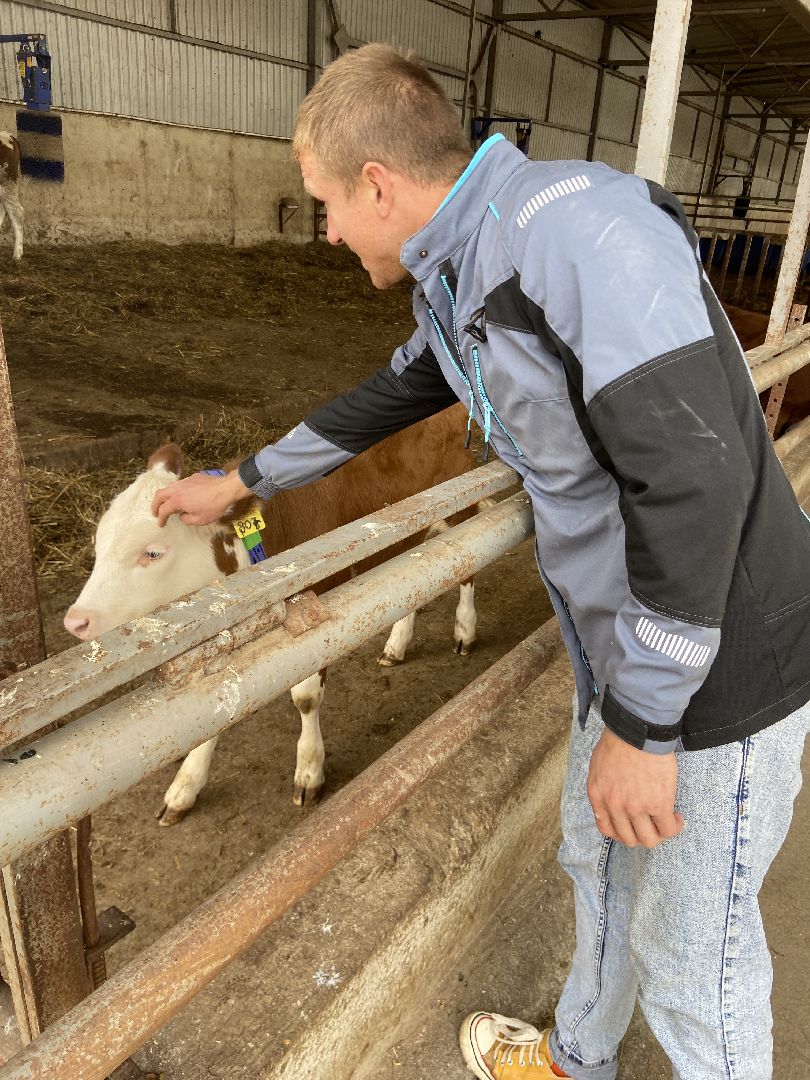 выборы 2023, выборы губернатора, дистанционное голосование,