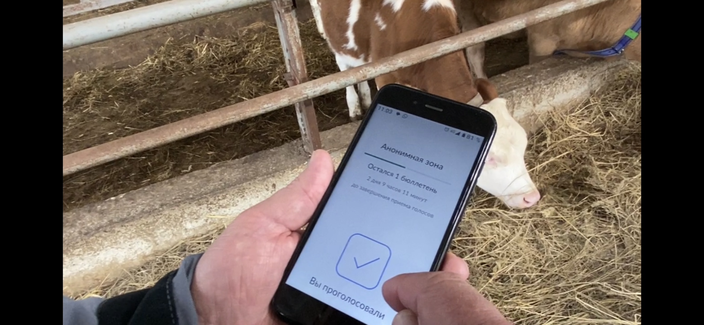 выборы 2023, выборы губернатора, дистанционное голосование,