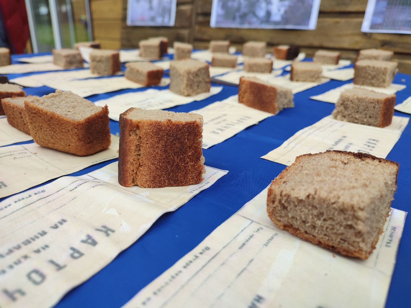 #блокадаленинграда, #акция, #талдом, #паркпобеды, #юнармия