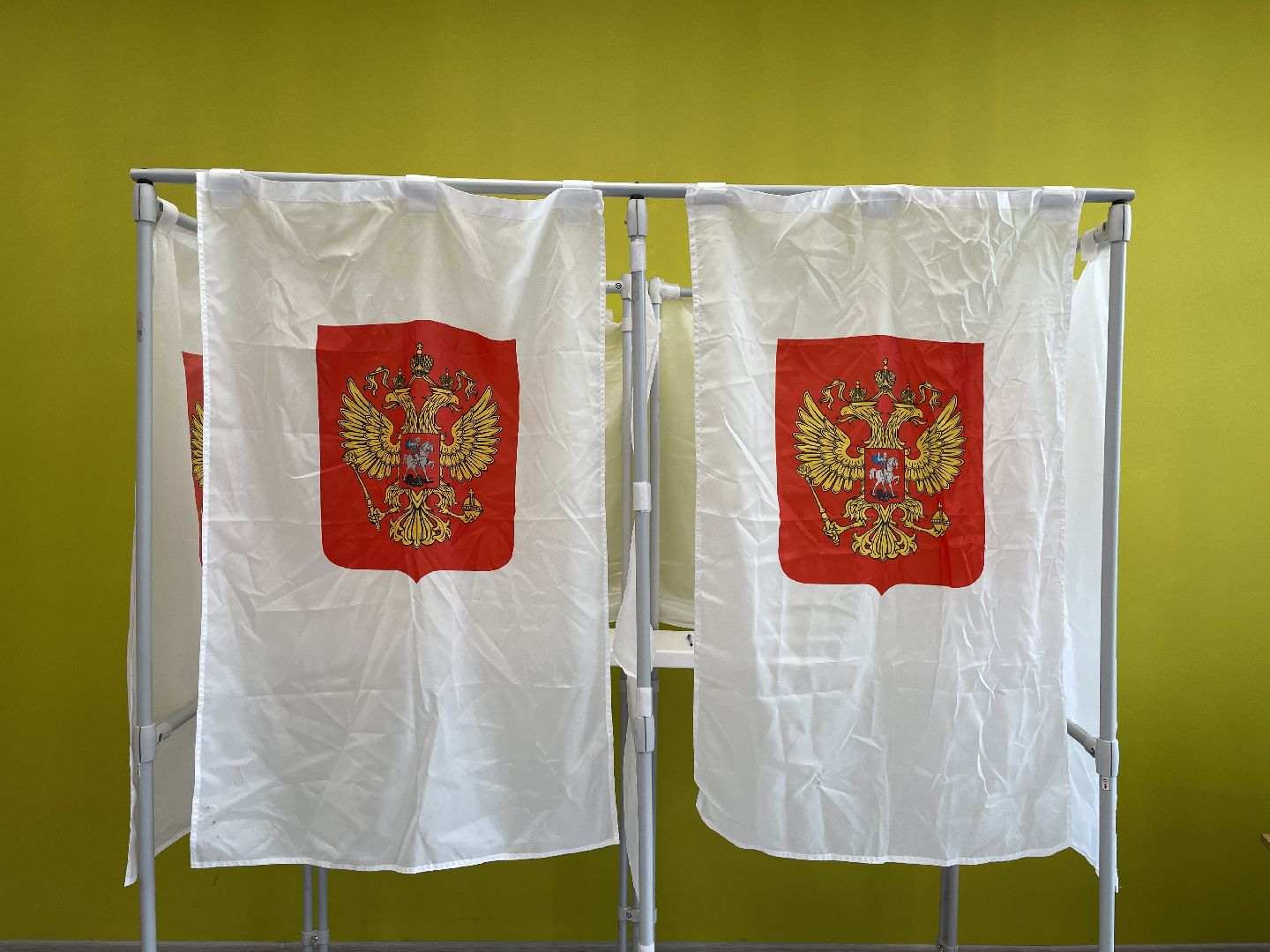 Выборы, Малаховка, кандидаты, депутат