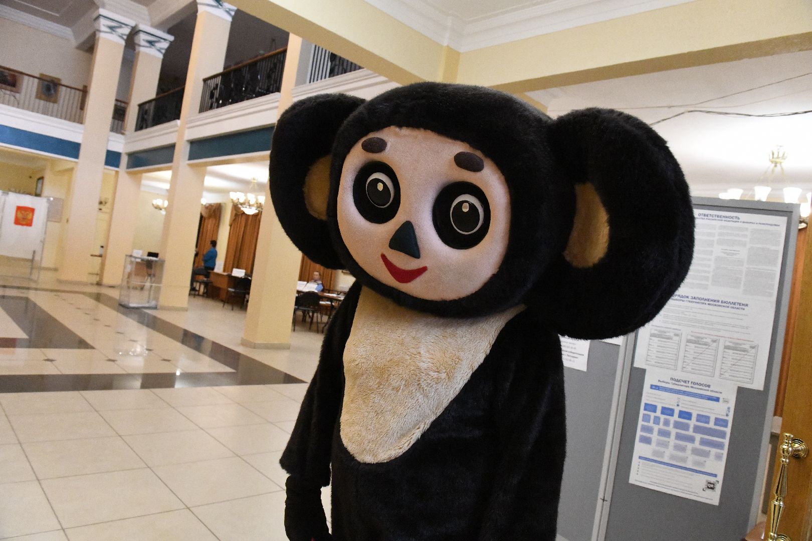 лыткарино, едг2023, подмосковьевыбирает2023, выборы, голосование