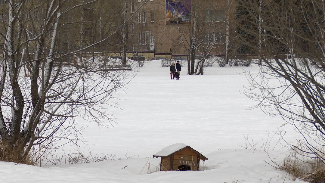Реутов, безопасность, тонкий лёд, Фабричный пруд, парк на воде