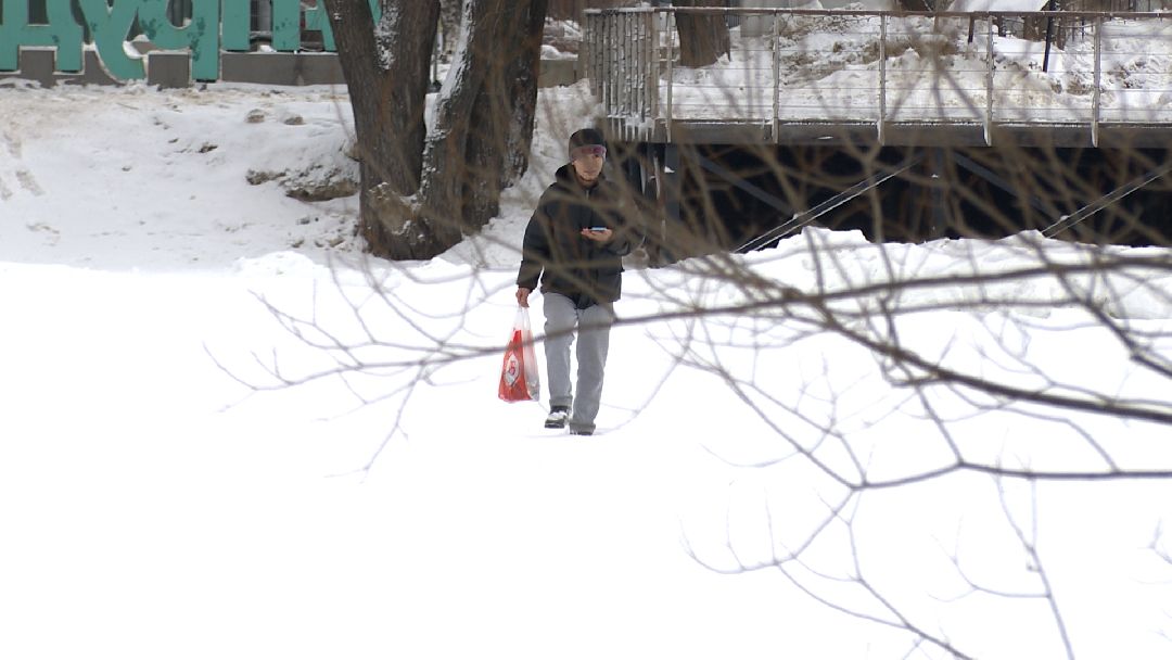 Реутов, безопасность, тонкий лёд, Фабричный пруд, парк на воде