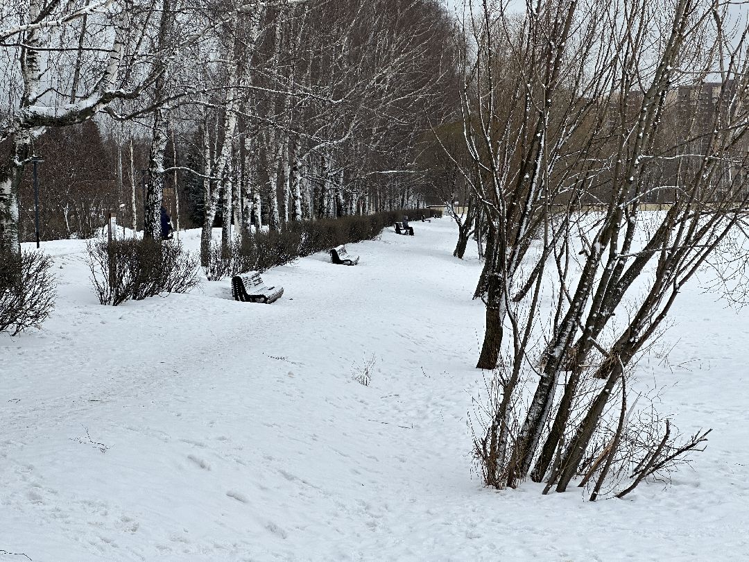 Реутов, безопасность, тонкий лёд, Фабричный пруд, парк на воде