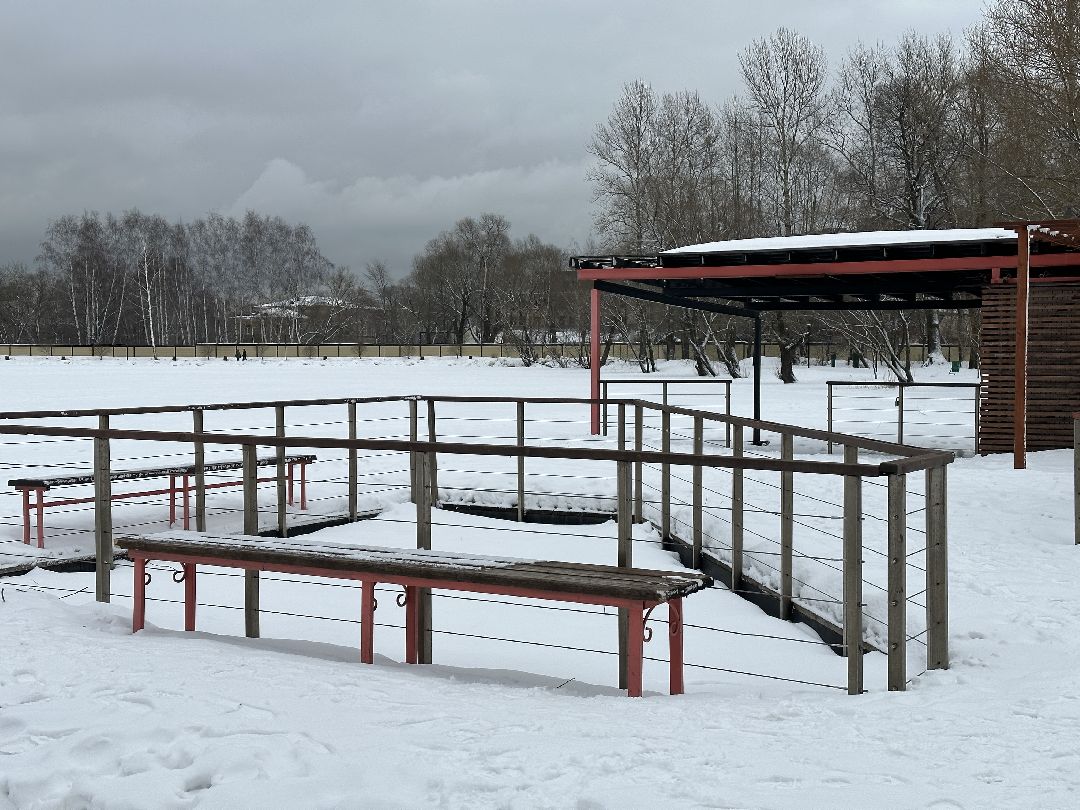 Реутов, безопасность, тонкий лёд, Фабричный пруд, парк на воде