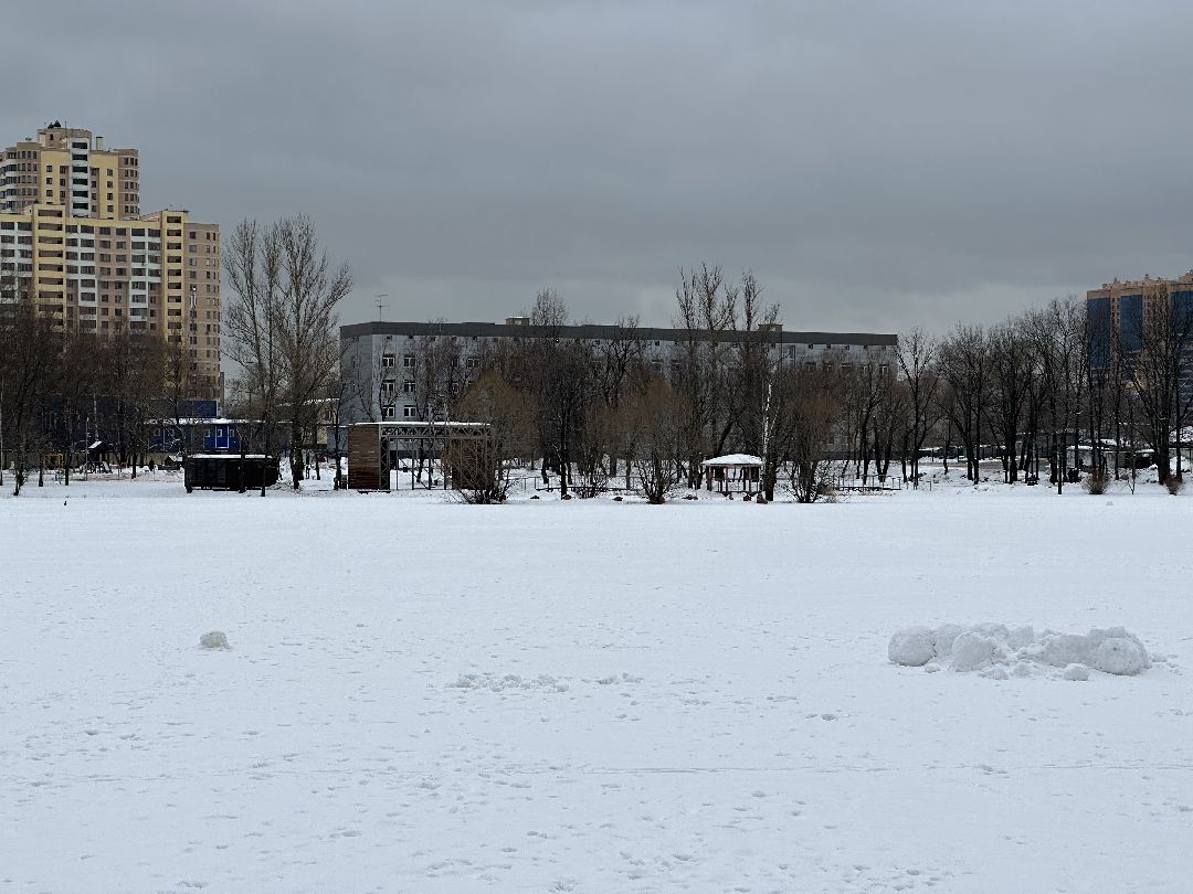 Реутов, безопасность, тонкий лёд, Фабричный пруд, парк на воде