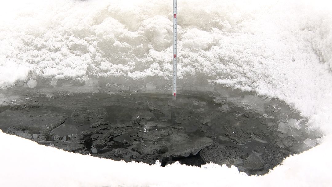 Реутов, безопасность, тонкий лёд, Фабричный пруд, парк на воде