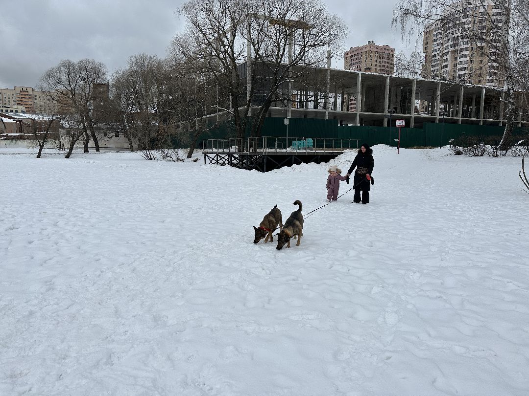 Реутов, безопасность, тонкий лёд, Фабричный пруд, парк на воде