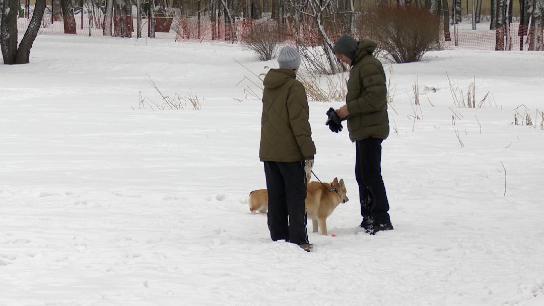 Реутов, безопасность, тонкий лёд, Фабричный пруд, парк на воде