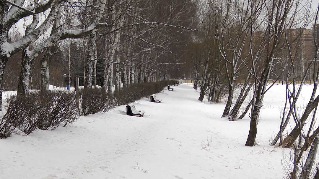 Реутов, безопасность, тонкий лёд, Фабричный пруд, парк на воде