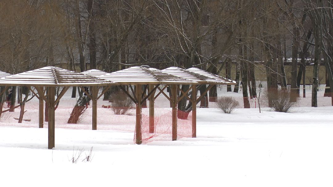Реутов, безопасность, тонкий лёд, Фабричный пруд, парк на воде