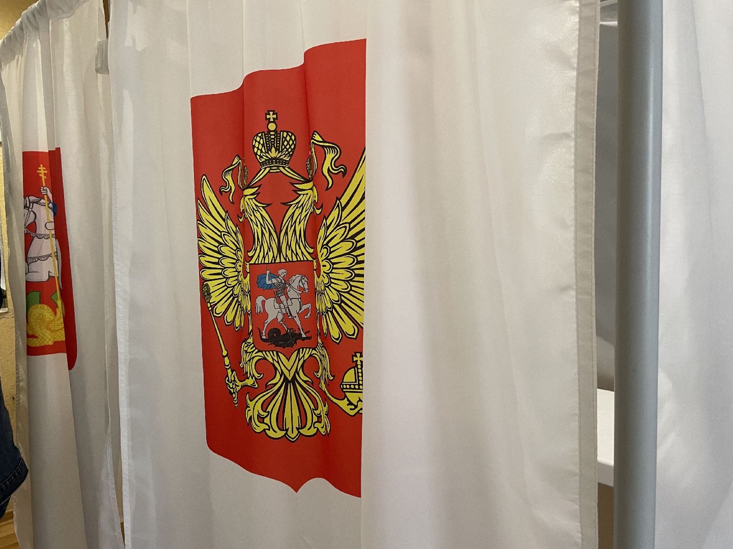 Выборы, губернатор, депутат, Подмосковье