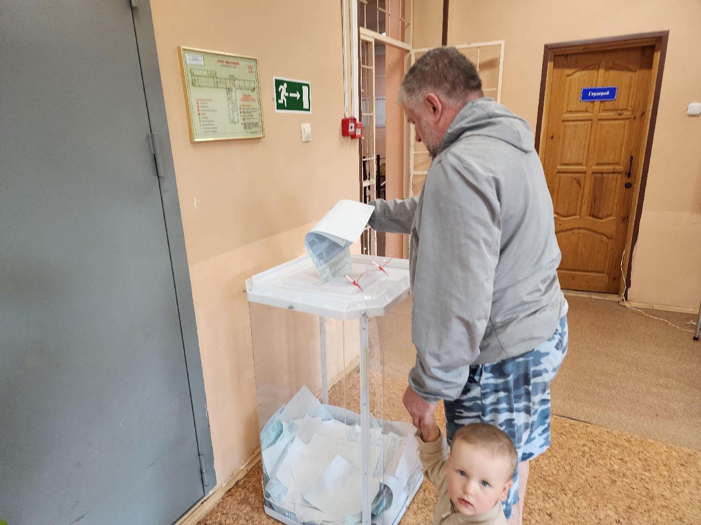 Снегири, выборы, голосование