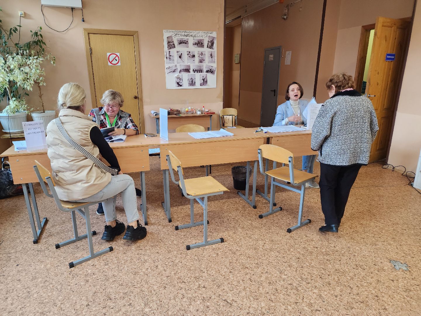 Снегири, выборы, голосование