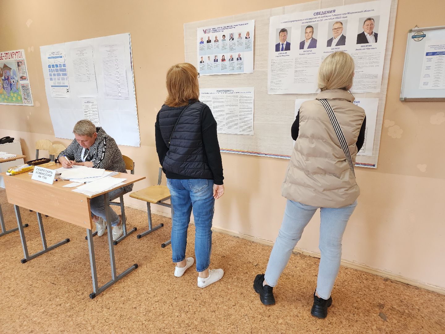 Снегири, выборы, голосование