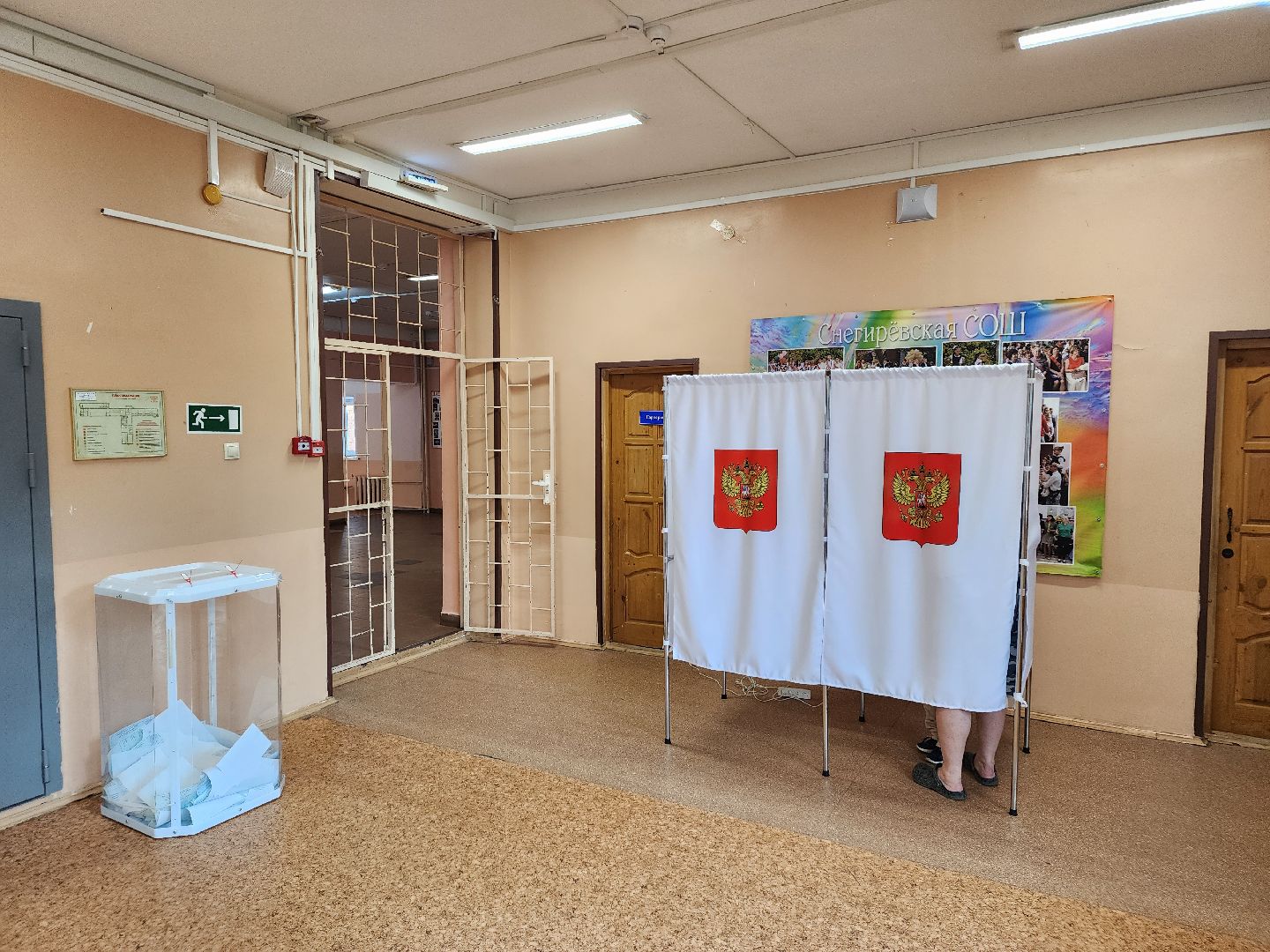 Снегири, выборы, голосование