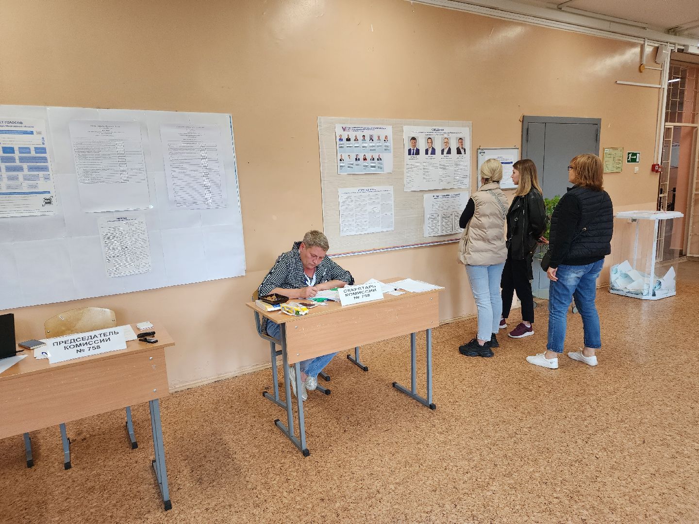 Снегири, выборы, голосование