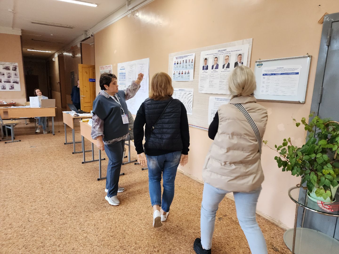 Снегири, выборы, голосование