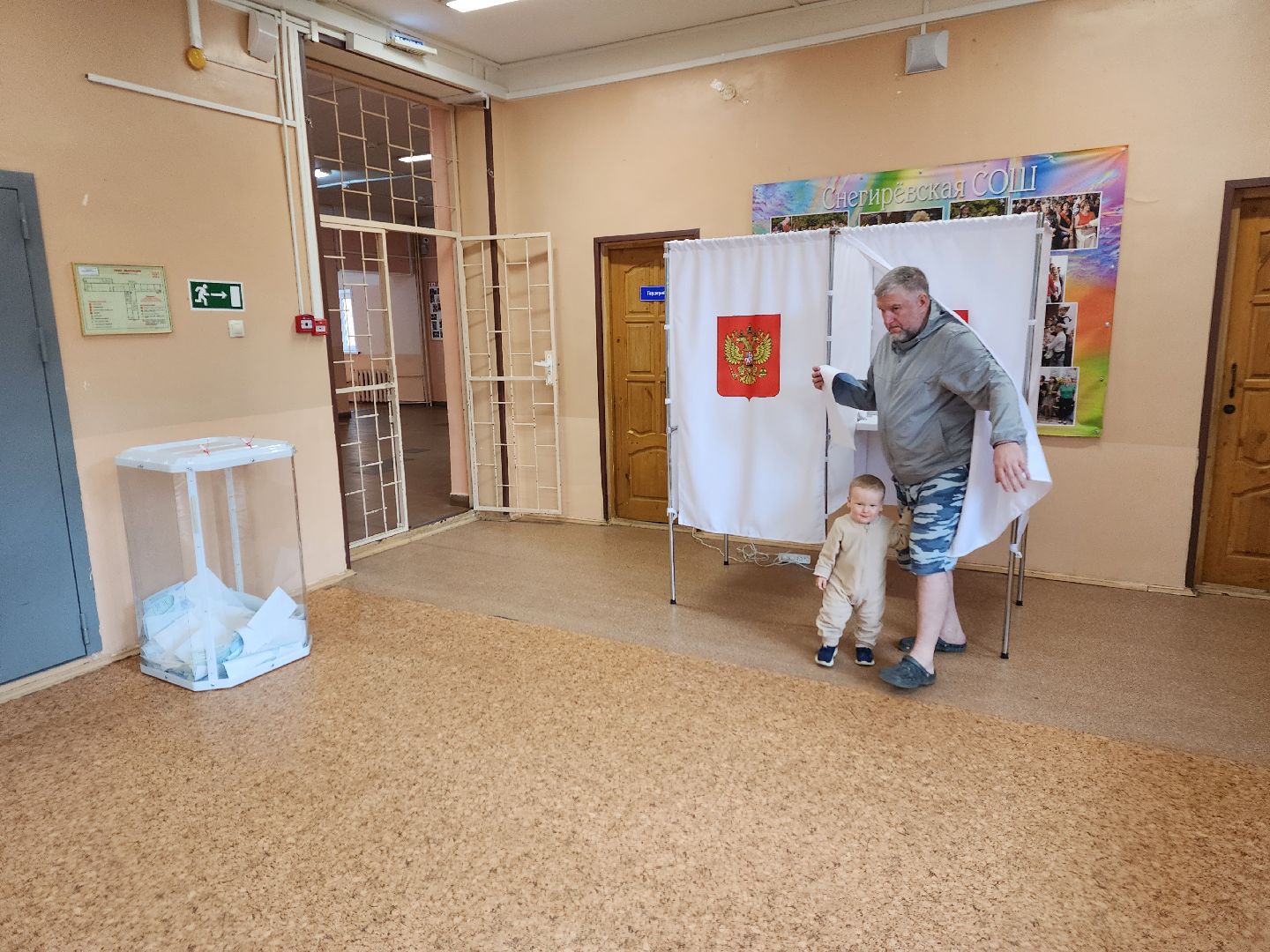 Снегири, выборы, голосование