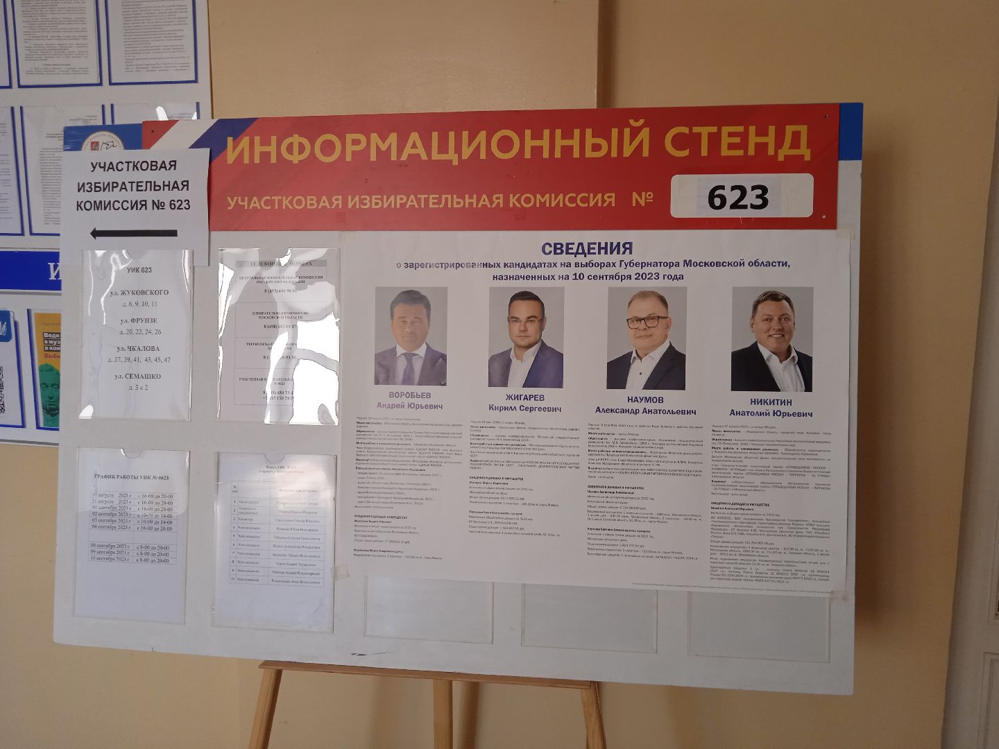 выборы, губернаторы, 2023, Елькина, Анна