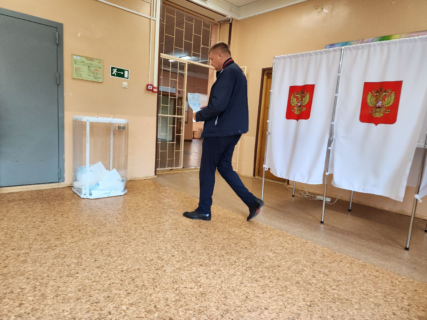 Снегири, голосование, выборы