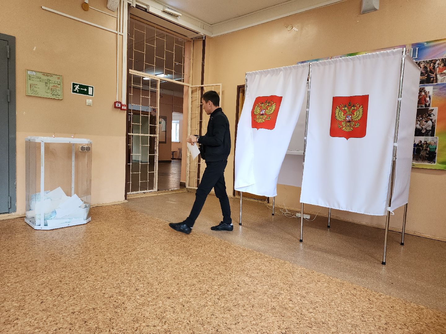 Снегири, голосование, выборы