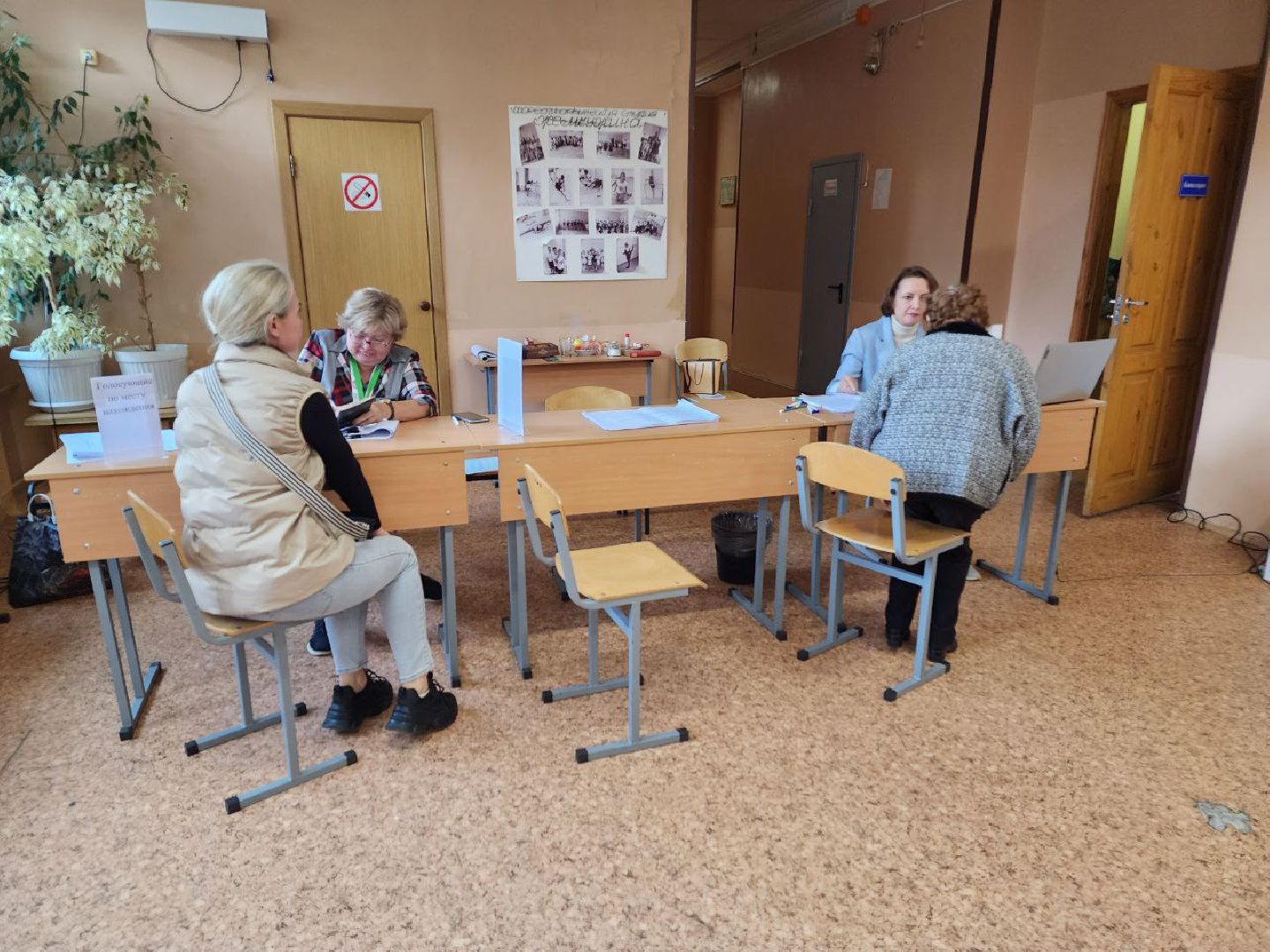 Снегири, голосование, выборы